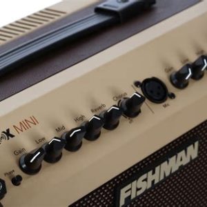 Fishman MF1 PRO-LBT-500 Loudbox Mini 60w / bluetooth