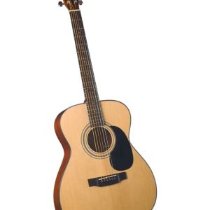 Bristol BM-16 folk gitaar