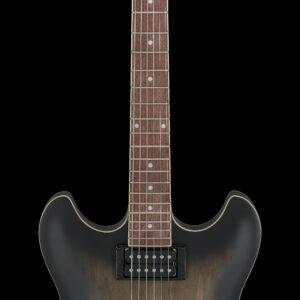 Ibanez AS53-TKF - Hollow Body Transparent Black Flat