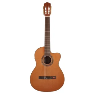Salvador Cortez CC-10CE classic guitar, cedar top, sapele back and sides, Fishman