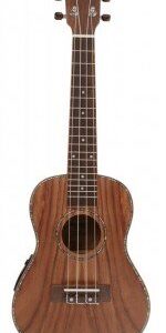 Morgan Ukelele UK-T500E Naturel