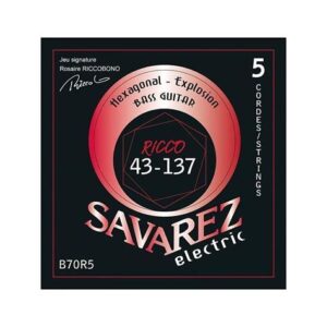 Savarez B70R5 bassnaren 43-137 / 5 string Ricco