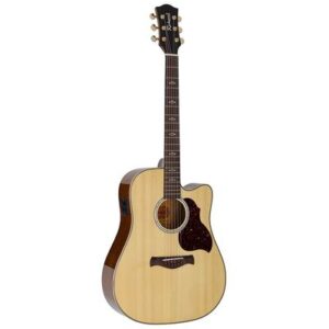 Richwood Artist Series RA-27 Auditorium Mahoganie Flamed Maple & Abalone