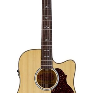 Richwood Artist Series RA-27 Auditorium Mahoganie Flamed Maple & Abalone