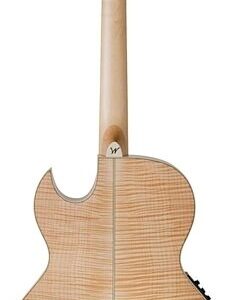 Washburn EA40-SCE