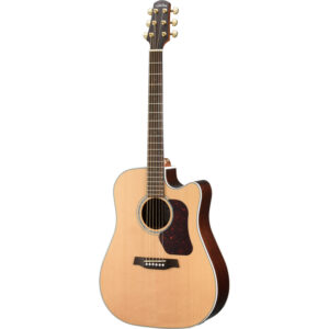 Walden Dreadnought vollmassiv satin lack EQ plus tas