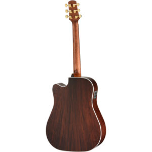 Walden Dreadnought vollmassiv satin lack EQ plus tas