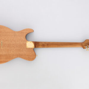 Fgn Expert IIiad EW Thinline Ash vintage natural koffer