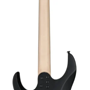 Legator Guitars Ninja Super Shred 6 string Multi-scale