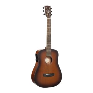 Cort COETMGOOPBBG, Eart mini Go, Open pore Brown Burst, Voorversterker, Giigbag