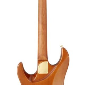 Fgn FGEOS2EW1RMHCB, Expert Odyssey EW, Hojicha Burst, Koffer